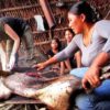 Earth Systems undergraduate student Madeline Lisaius helps an indigenous Waorani woman butcher a peccary in Ecuador in July 2015.