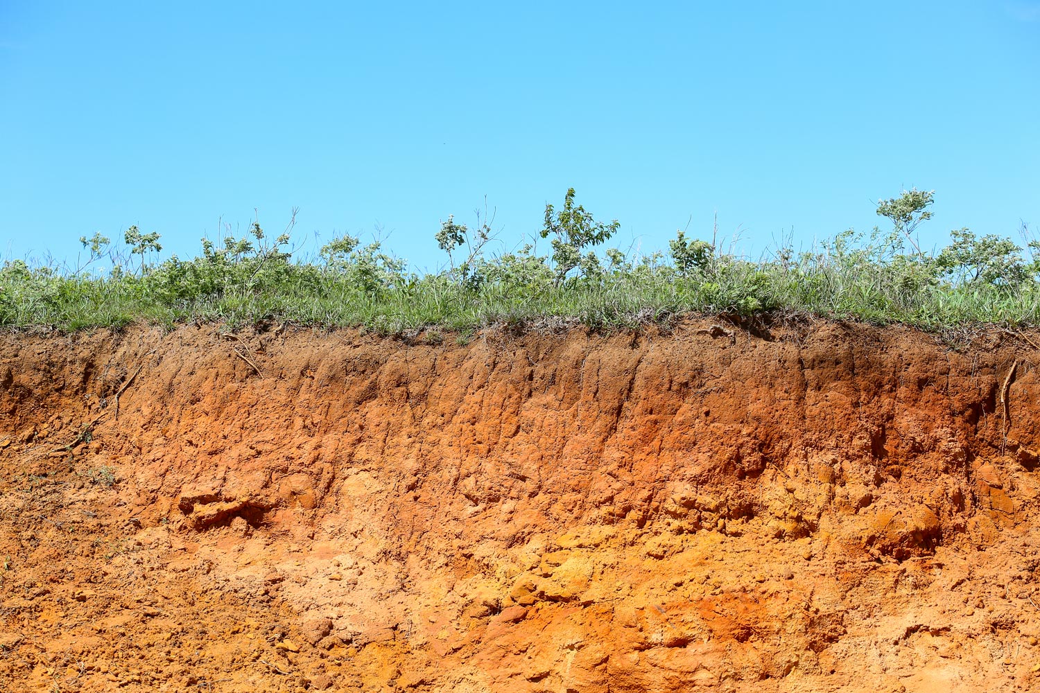 Eroded soil