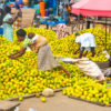 woman picking out oranges in street market in Accra, Ghana