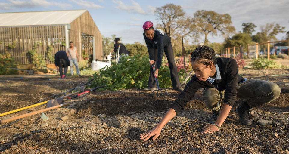 Paula Reyna Small and Adorie Anika Howard work in the garden