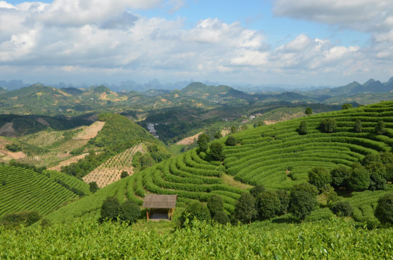 Yangshuo, China.