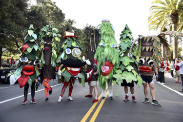 7 Trees on Galvez Street