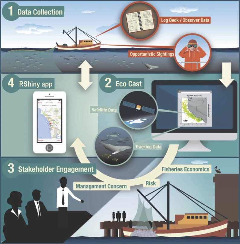 Schematic of EcoCast process