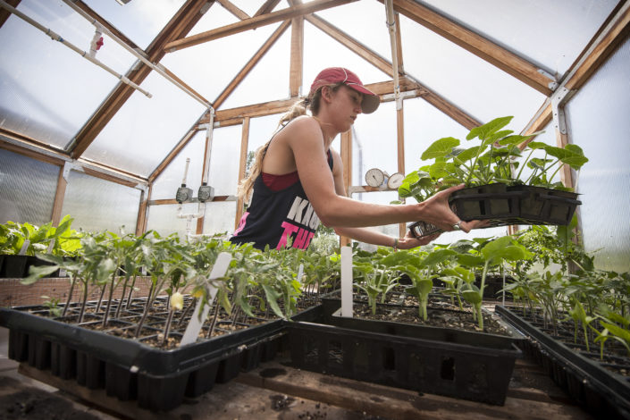 A student cares for the seedlings in the hothouse.)