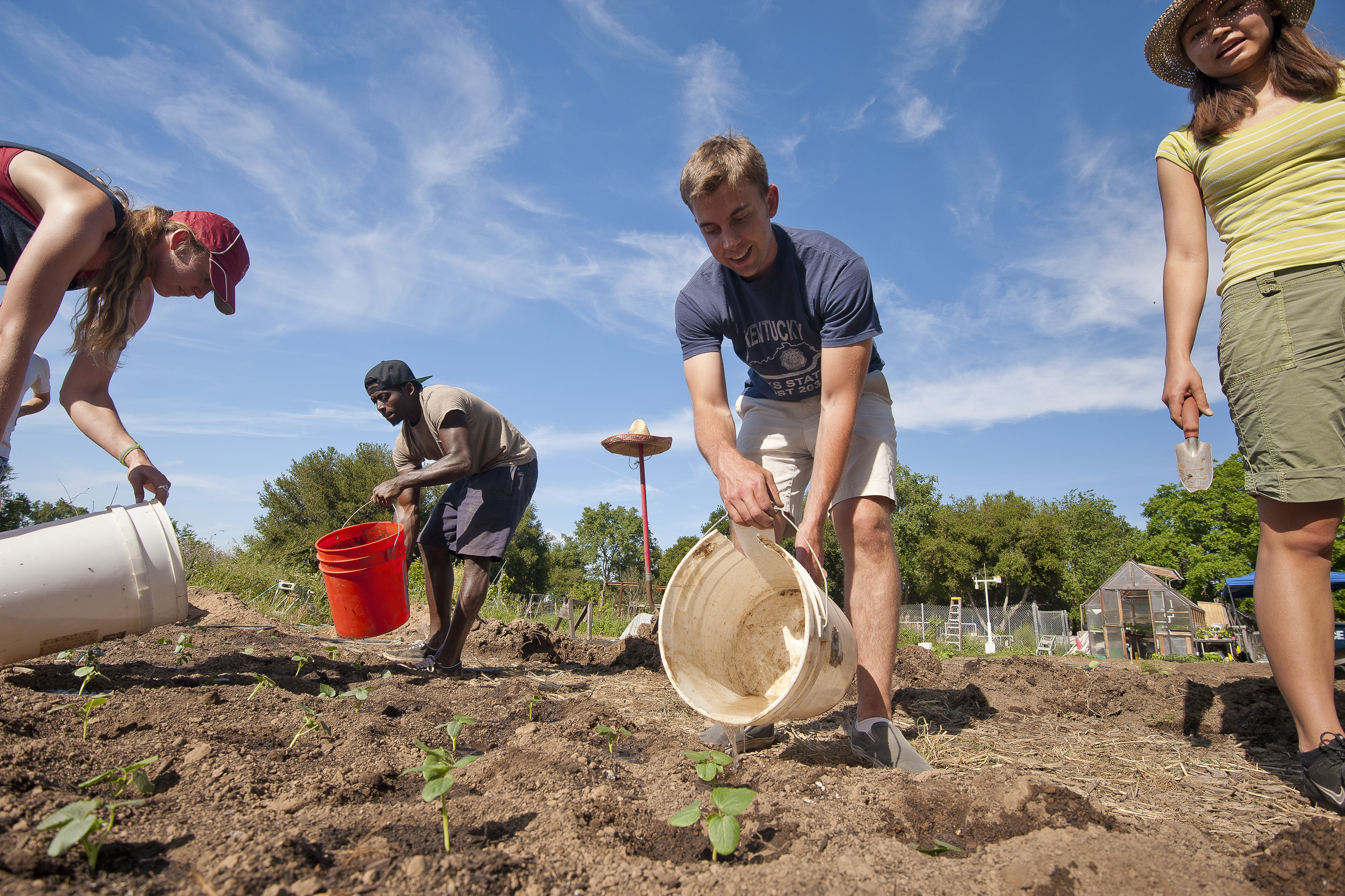 Students water small plants at the Stanford Educational Farm.