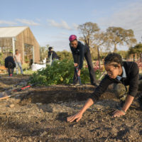 Students planting seeds at the Stanford Educational Farm