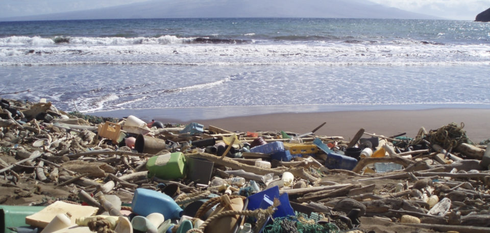 Marine debris on a beach in Hawaii