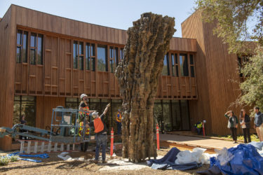 Ursula von Rydingsvard's 17-foot-tall bronze sculpture, MOCNA in it's final place at Denning House.