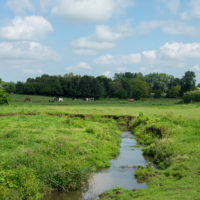 stream flowing through farm