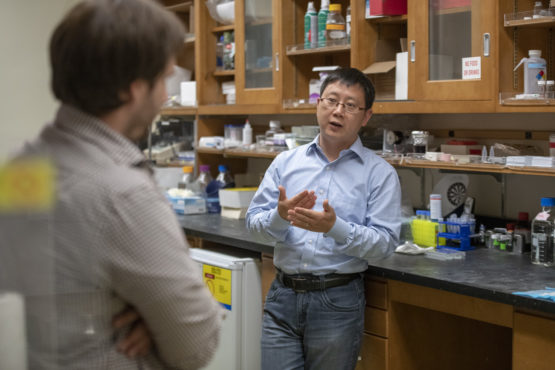 Post doctoral scholar Greg Nachtrab and Professor Xiaoke Chen