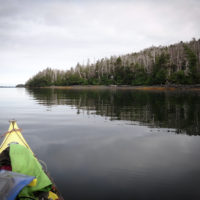 Lauren Oakes paddles to a research site in Alaska.