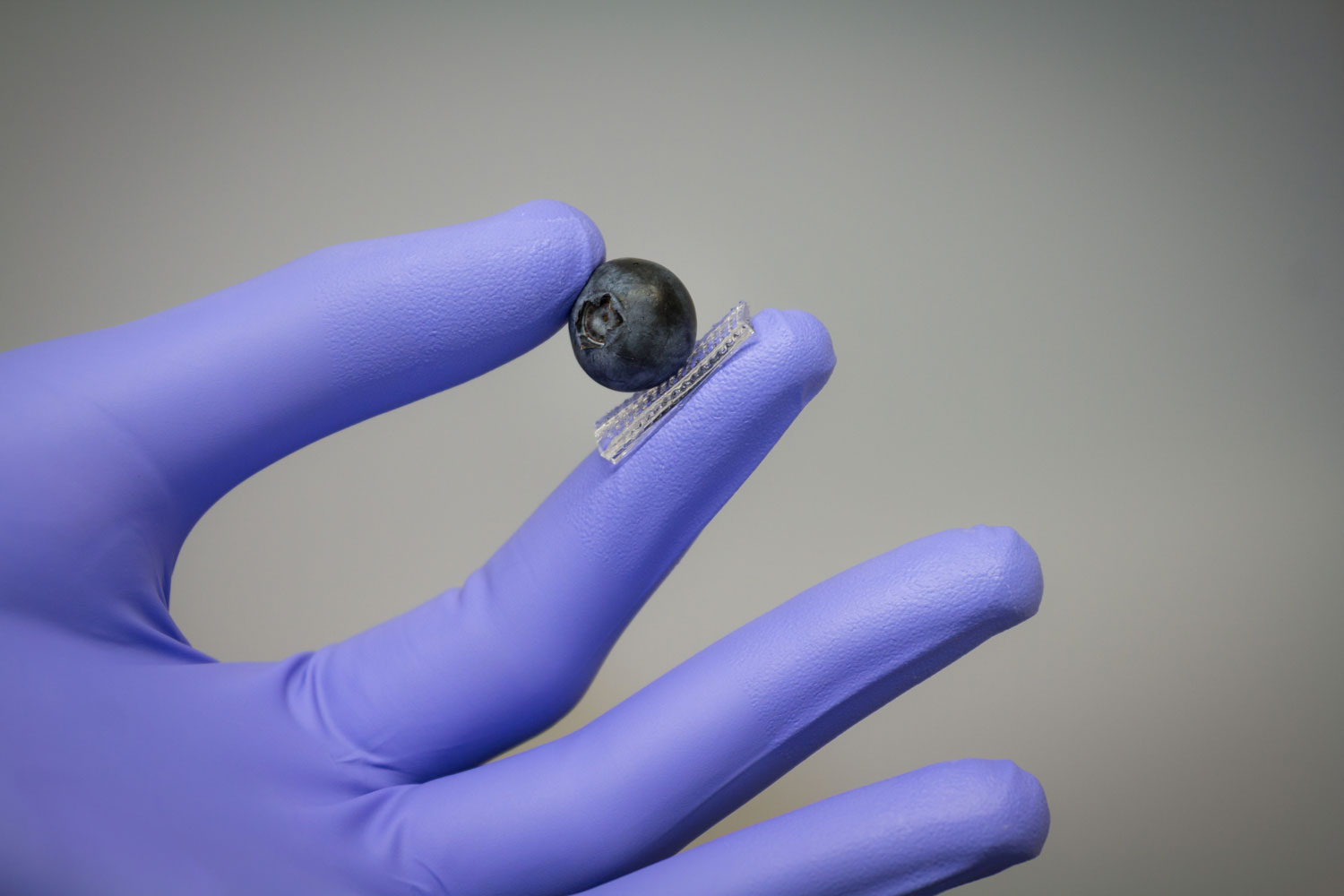 robot hand holds blueberry between thumb and finger