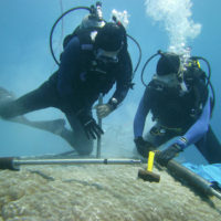 Professor Rob Dunbar and researcher Dave Mucciarone