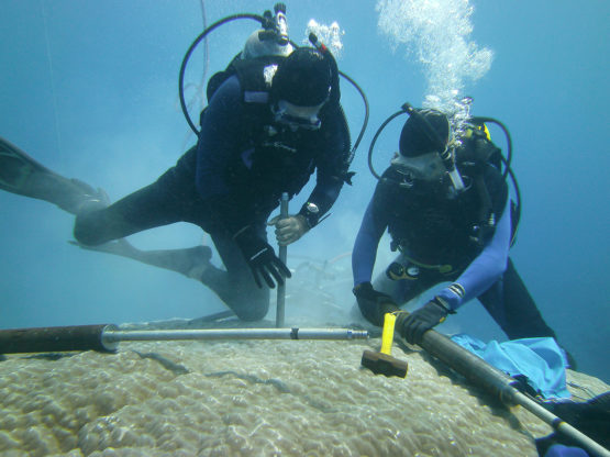 Professor Rob Dunbar and researcher Dave Mucciarone