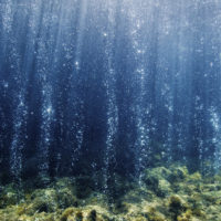 Volcanic carbon dioxide seeps from the ocean floor near Ischia, Italy.