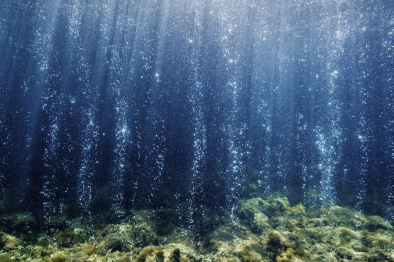 Volcanic carbon dioxide seeps from the ocean floor near Ischia, Italy.