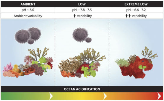 Biodiversity loss is mapped along a natural CO2 gradient.