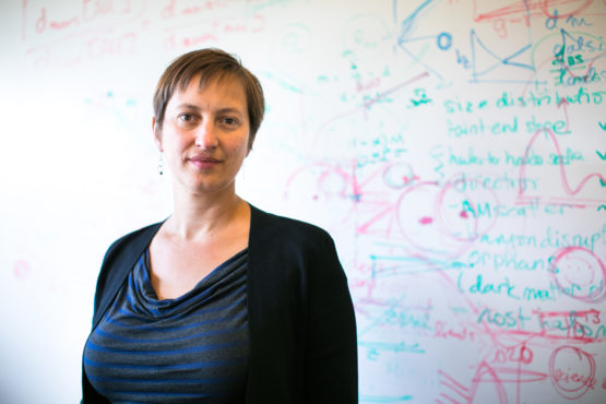 Risa Wechsler standing in front of a white board.