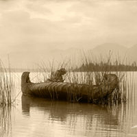 Edward Sheriff Curtis, Rush Gatherer photo