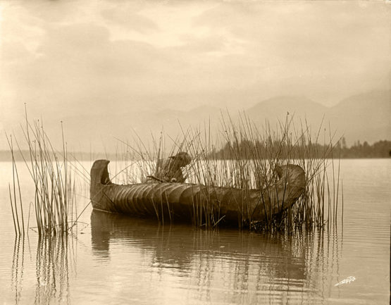 Edward Sheriff Curtis, Rush Gatherer photo