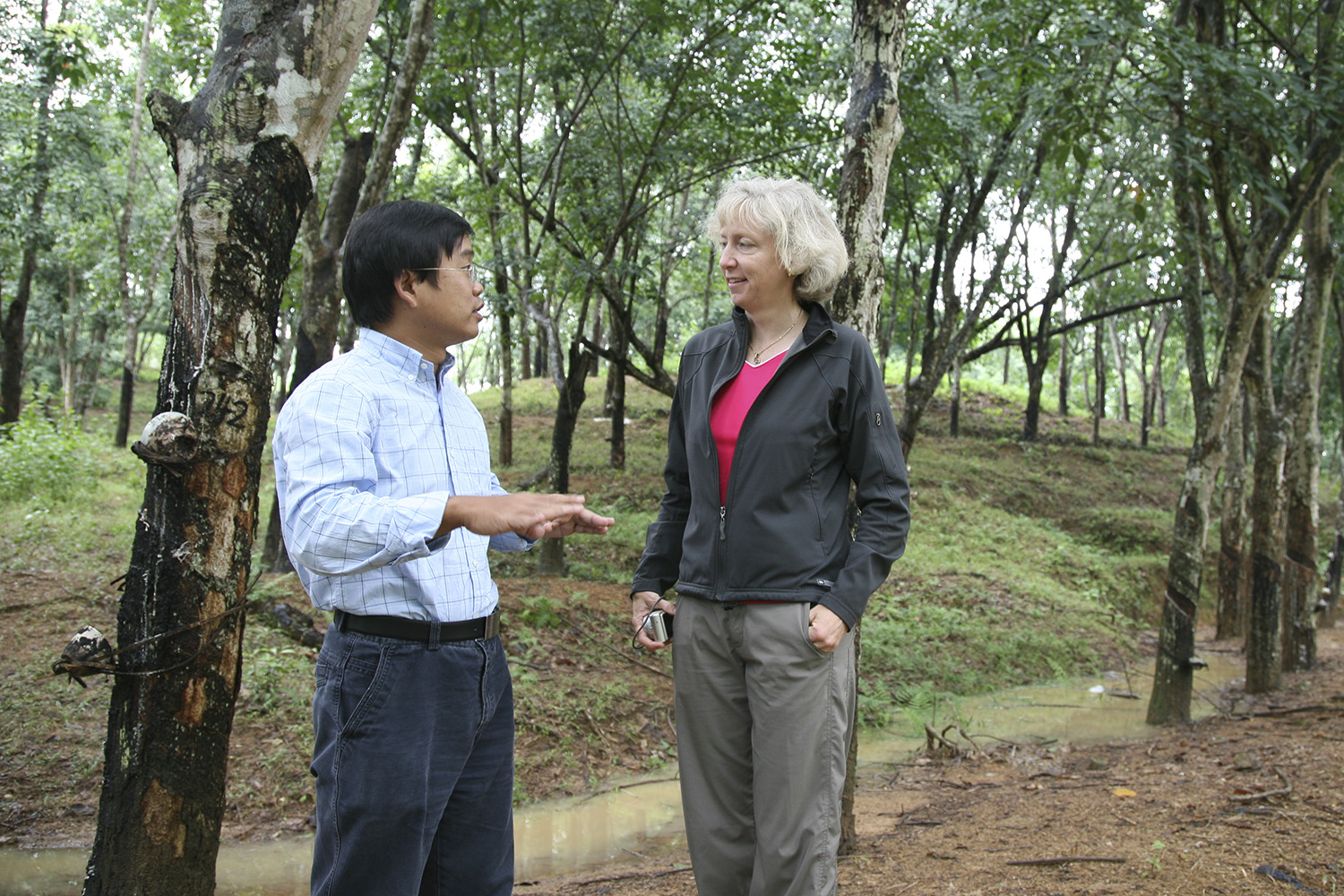 Gretchen Daily and lead author Hua Zheng conduct research on a Hainan conventional plantation.