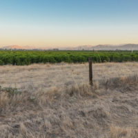 Farmland in Tulare County, California