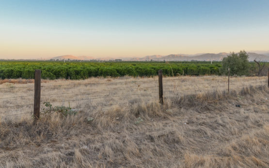 Farmland in Tulare County, California