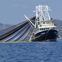 Fishing vessels like this one were tracked during a short-lived trawling moratorium in the Adriatic Sea as part of a Stanford study.