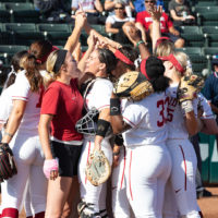 Cardinal softball