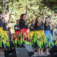 A colorful group of dancers from Stanford Hula