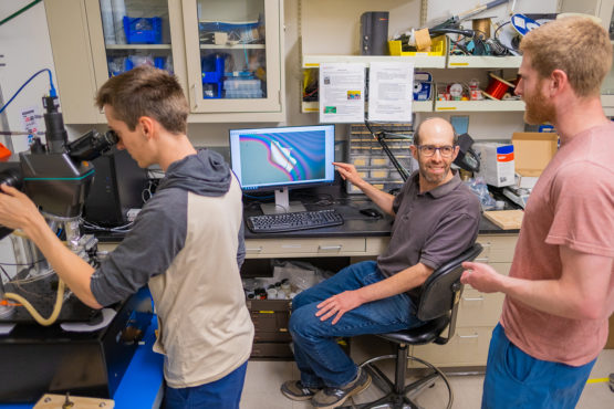 home built transfer stage to assemble graphene