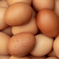 chicken eggs