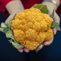 A woman holds fiber-rich vegetables.