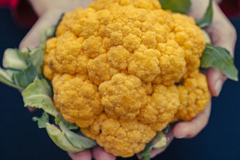 A woman holds fiber-rich vegetables.