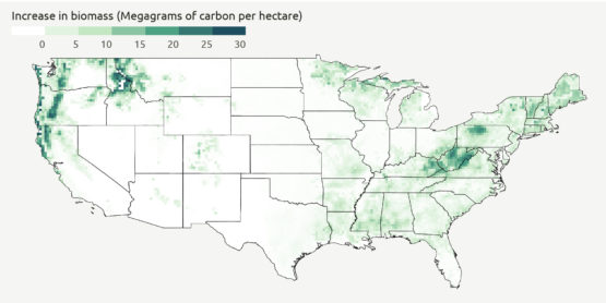 Map: Potential increase in plant biomass in the U.S. for carbon dioxide levels expected in 2100.