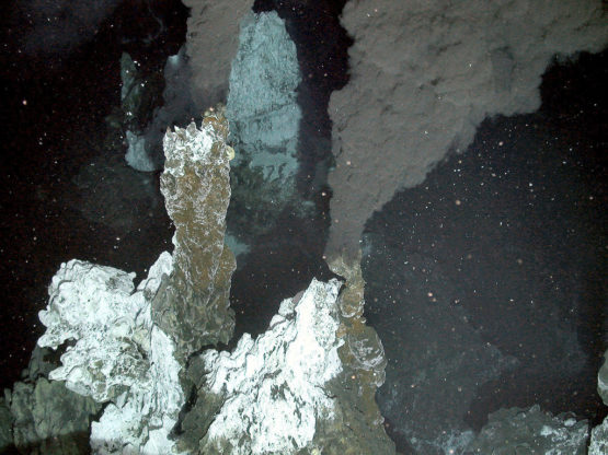 Hydrothermal vent