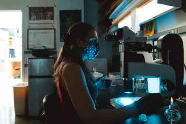 Maria Danielle Sallee examines nematode worms under a microscope