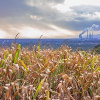 a power station near a corn field