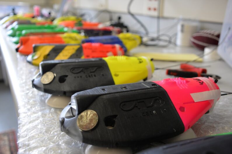 Brightly-colored tagging devices on a shelf