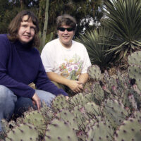 Christy Smith, left, who coordinates volunteers for the Arizona Garden and library specialist Julie Cain, right, are working at restoring the cactus garden in the Arboretum.