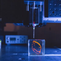 A 3D bioprinter in the Skylar-Scott lab prints a sample of heart tissue in 2022.