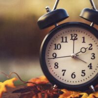 Black analog alarm clock on top of colorful fall leaves